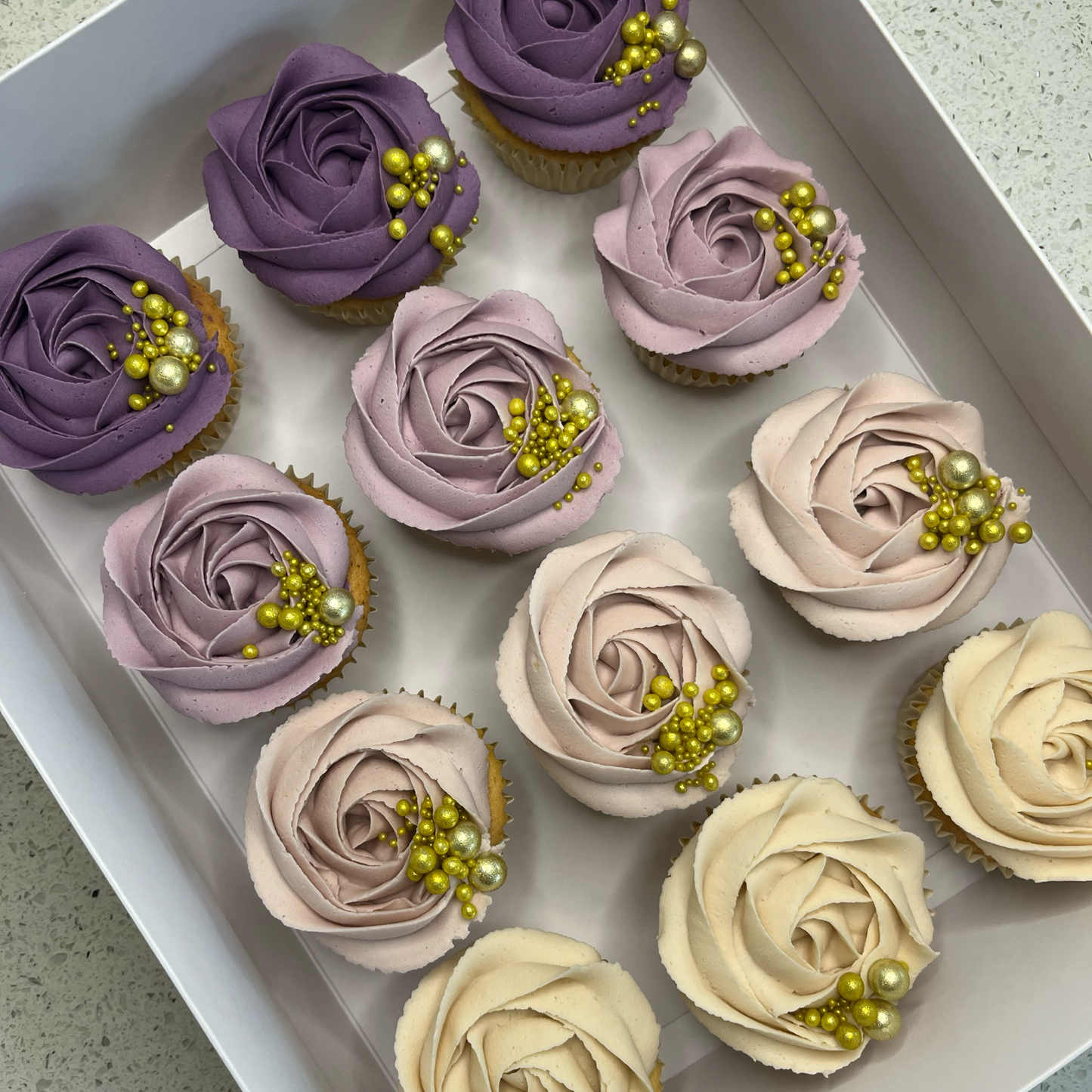 Classic Cupcake Box