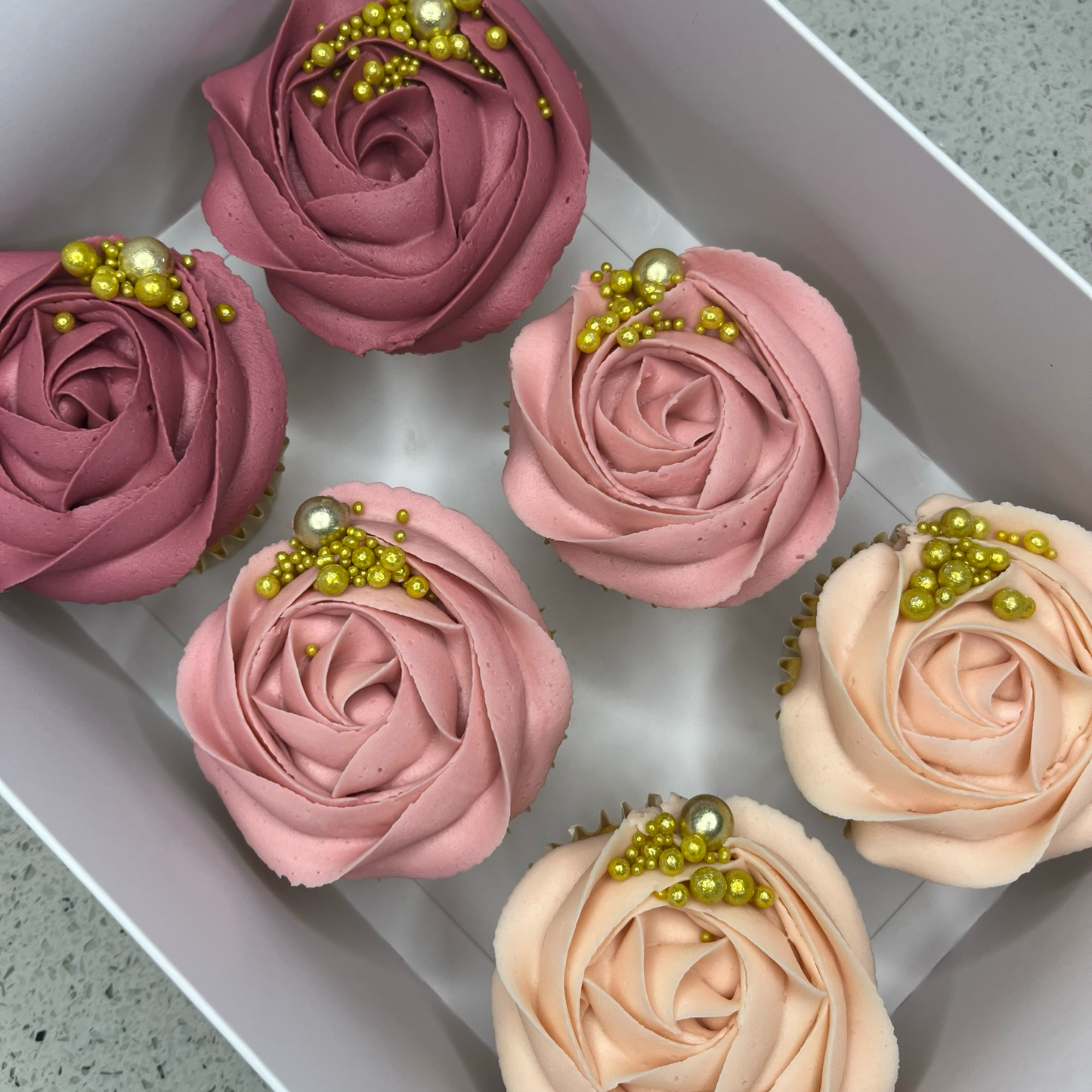 Classic Cupcake Box